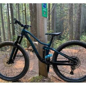 2021 Trek Fuel EX Green