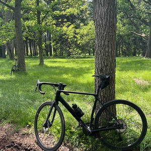 2019 Canyon bicycles Endurace CF SL Disc 8.0 Aero Di2 Black