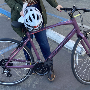 2021 Specialized Sirrus Purple