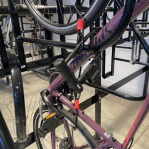 2021 Specialized Sirrus Purple