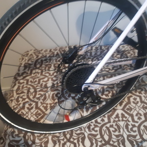 2023 Specialized Ariel Pink and Orange