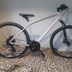 2023 Specialized Ariel Pink and Orange