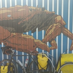 2016 Jamis Aurora Green