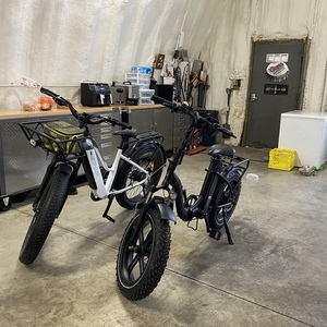 FattE-Bikes Fat Tire Folding 500W Black