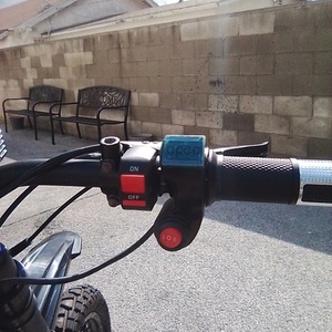 2021 Delfast bikes 3.0 Black