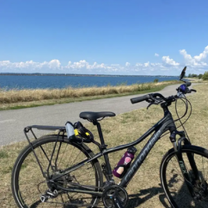 2015 Cannondale Althea 2 Black