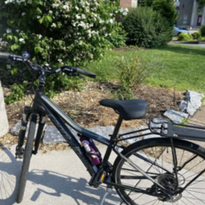 2015 Cannondale Althea 2 Black