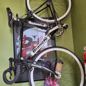 2007 Bianchi Fremont Black