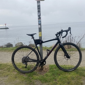 2020 Specialized Diverge Black