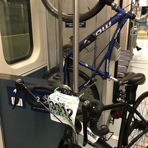Dynamic Bicycles Tempo Cross 8 Green and White