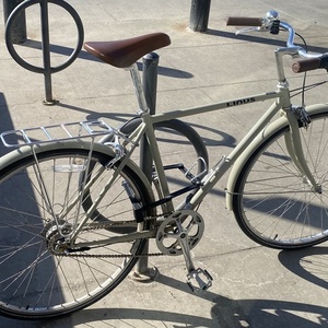 2015 Linus Linus Roadster 8 City Bike Size Large... Silver, gray or bare metal