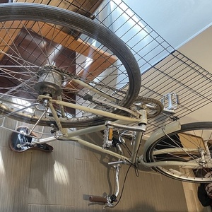 2015 Linus Linus Roadster 8 City Bike Size Large... Silver, gray or bare metal