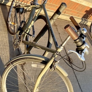 2015 Linus Linus Roadster 8 City Bike Size Large... Silver, gray or bare metal