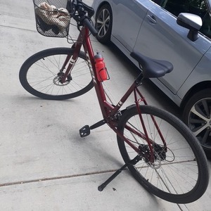 2022 Trek Verve Red