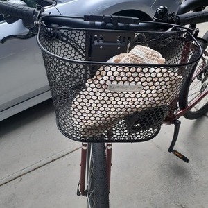 2022 Trek Verve Red