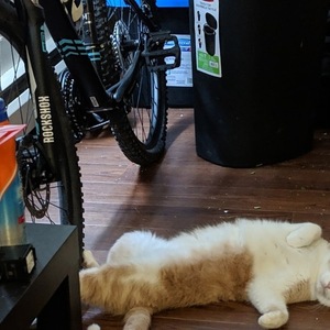 2015 Giant Black and Blue