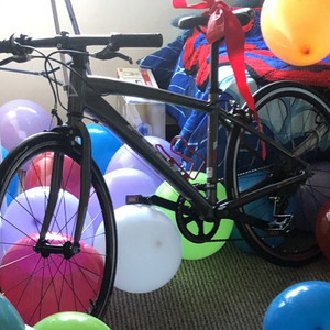 Fuji Absolute 1.0 Silver, gray or bare metal