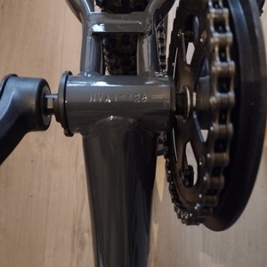 2023 Argos Green and Red