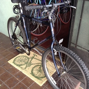 Specialized Hardrock Blue