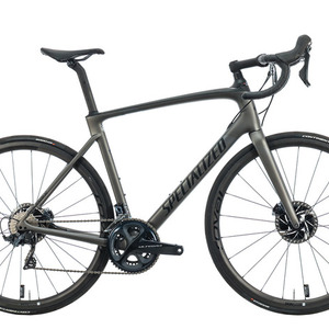 2021 Specialized Roubaix Comp Silver, gray or bare metal