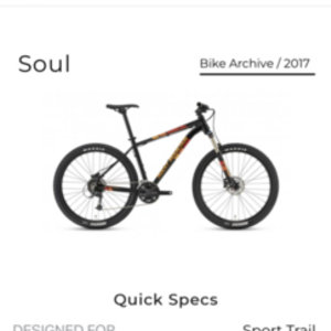 2017 Rocky Mountain Bicycles XL Black and Orange