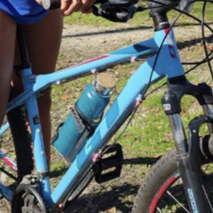 GT Bicycles GT laguna pro Blue, Red, and Pink