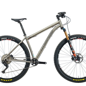 2019 Litespeed Pinhoti Silver, gray or bare metal