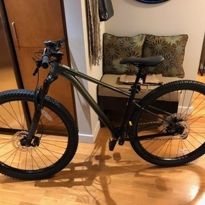 2021 Cannondale SE3 Green