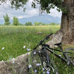 2021 Cannondale SE3 Green