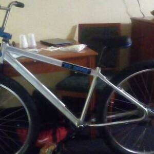 SE Bikes PK Ripper Silver, gray or bare metal