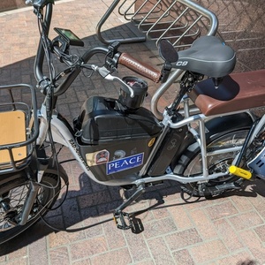 2020 Rad Power Bikes RadRunner Plus Silver, gray or bare metal