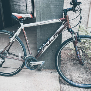 2022 Fuji Aluminum Brown