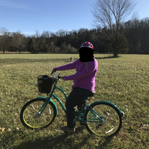 2017 Trek Green