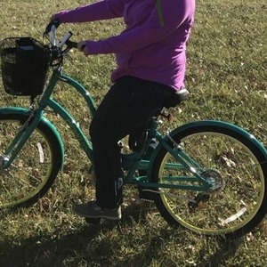 2017 Trek Green