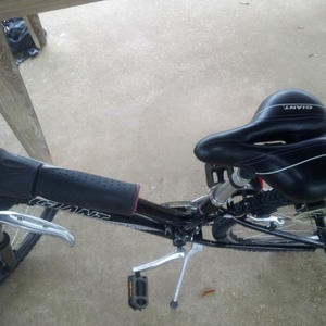 2020 Giant Sedona w Black and Purple