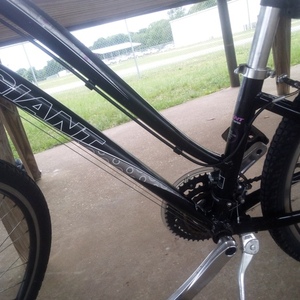 2020 Giant Sedona w Black and Purple