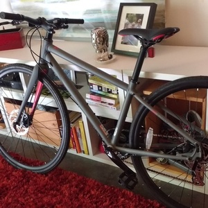 2016 SE Bikes Boilermaker Silver or Gray