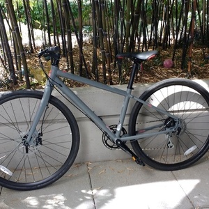 2016 SE Bikes Boilermaker Silver or Gray