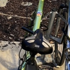 Diamondback Calico Green