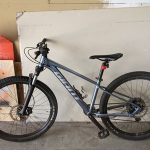 2022 Giant Talon Silver, gray or bare metal