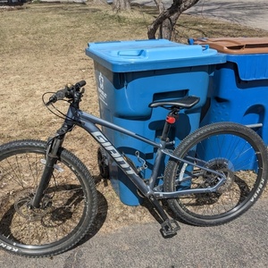 2022 Giant Talon Silver, gray or bare metal