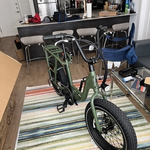 2022 Rad Power Bikes RadRunner2 Green