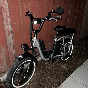 2020 Rad Power Bikes RadRunner Plus Silver, gray or bare metal