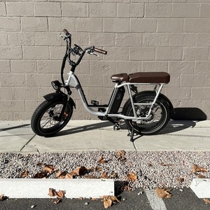 2020 Rad Power Bikes RadRunner Plus Silver, gray or bare metal