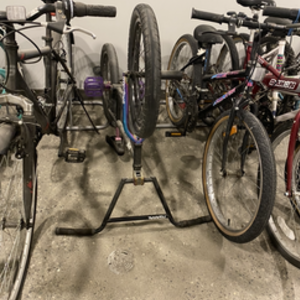 2015 WeThePeople envy Black