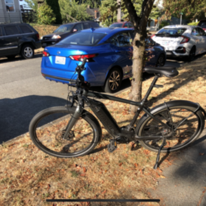 2018 Giant Quick-E Green and Black