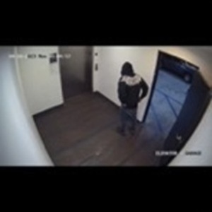 2023 SE Bikes PURPLE CAMO Purple and Silver, gray or bare metal