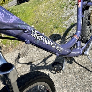 Diamondback Serene Purple