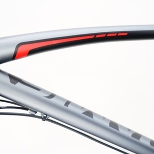 2016 Jamis DXT sport Silver, gray or bare metal