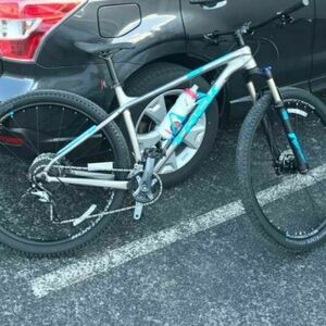 Trek X-Caliber 7 Silver, gray or bare metal